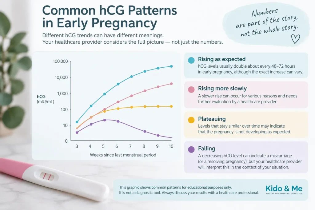 Infographic showing hCG levels in early pregnancy, including rising, slow-rising, plateauing, and falling patterns.