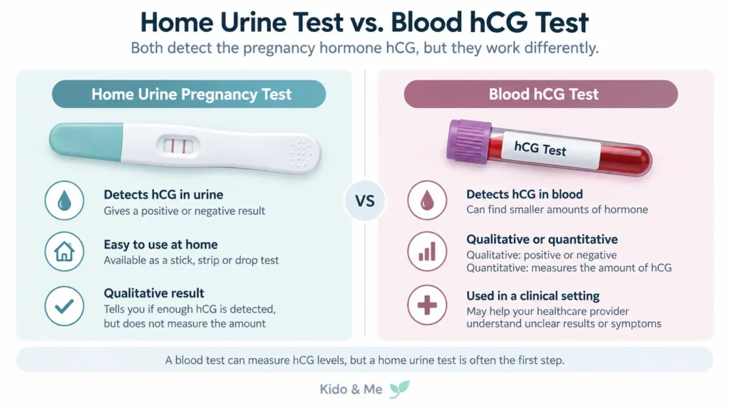 Infographic comparing a home urine pregnancy test with a blood hCG test, showing qualitative urine results and qualitative or quantitative blood testing.